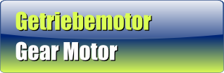 Gear Motor