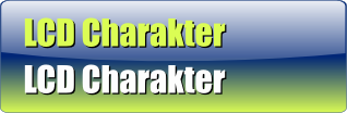 LCD Character